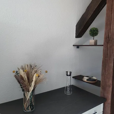 Dachgefluester * Schwerin (Mecklenburg-Vorpommern)